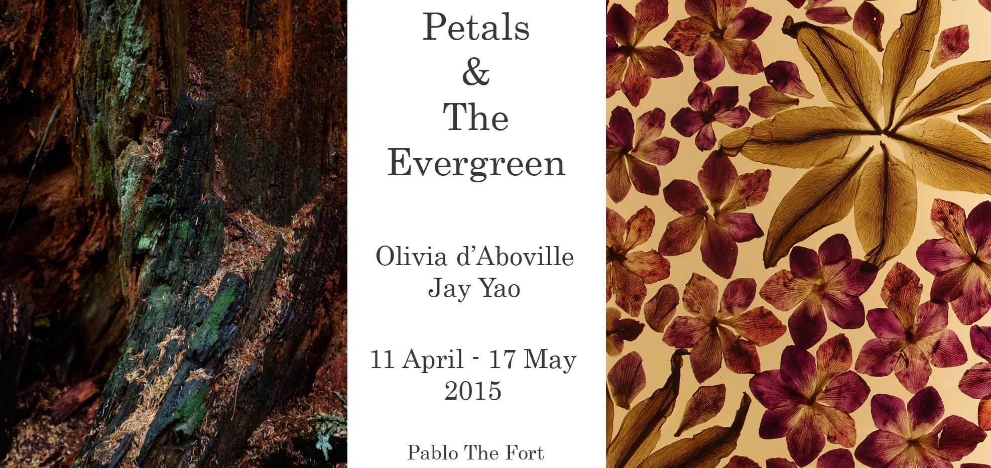 150411_petals-evergreen